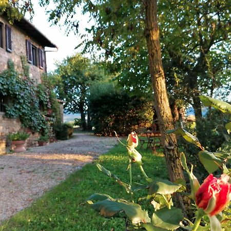 Casa Gioia Apartamento Greve in Chianti Exterior foto