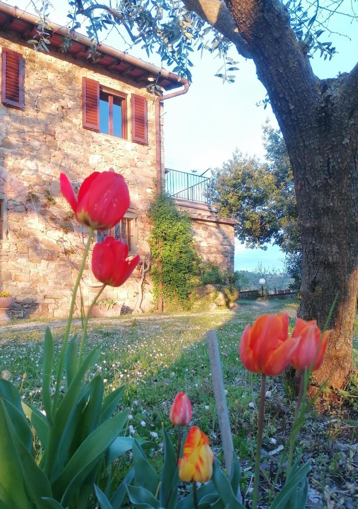 Casa Gioia Apartamento Greve in Chianti Exterior foto